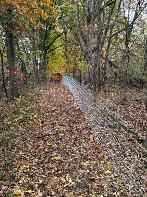 Commercial Fencing