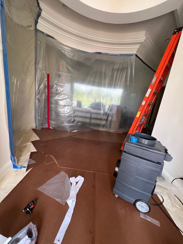 Mold Remediation