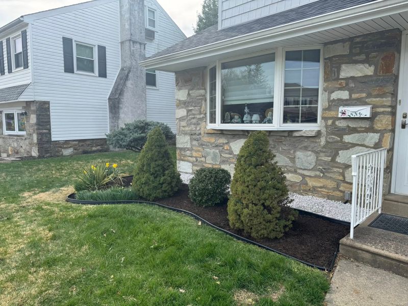 Tree & Shrub Care