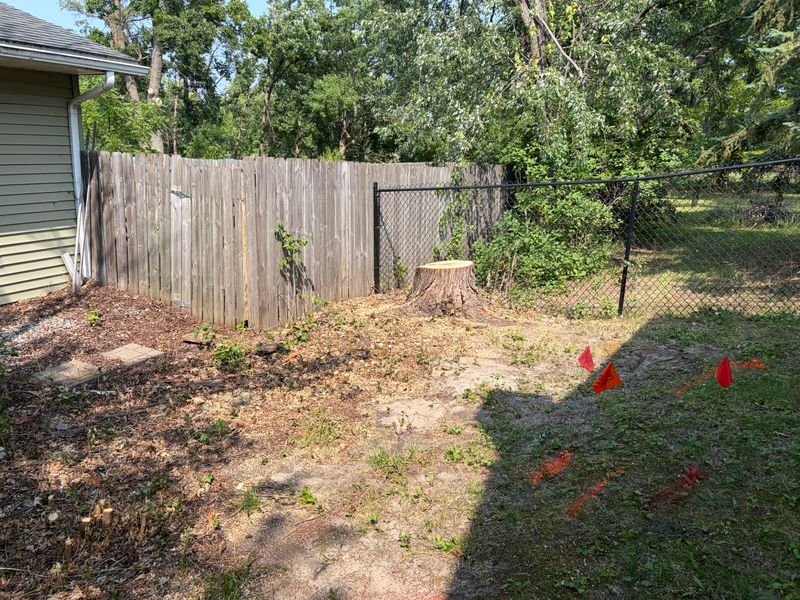 Stump Grinding