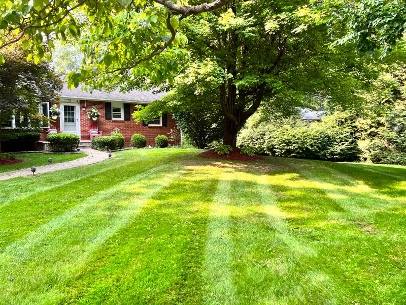 Lawn Care