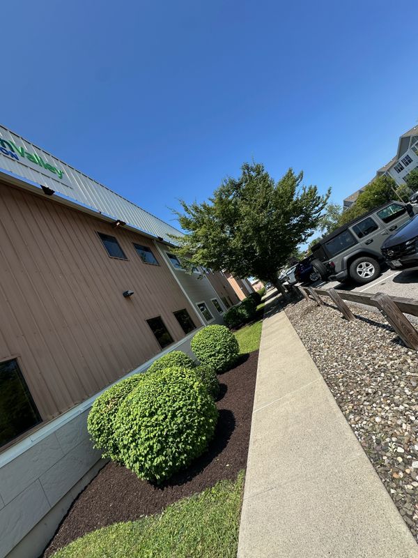 Landscaping