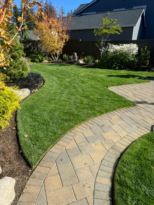 Patio Design & Construction