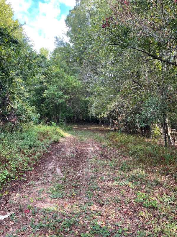 Land Clearing gallery