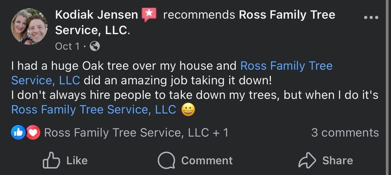 Other Tree Services