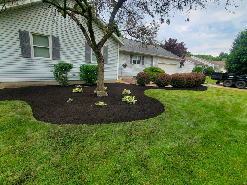Tree & Shrub Care