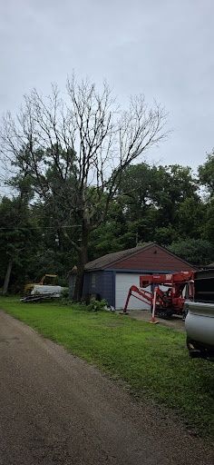 Tree Trimming