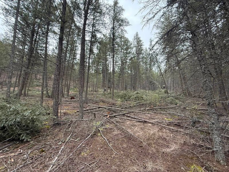 Land Clearing