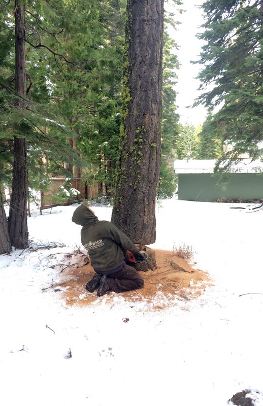 Defensible Space Insurance Compliance