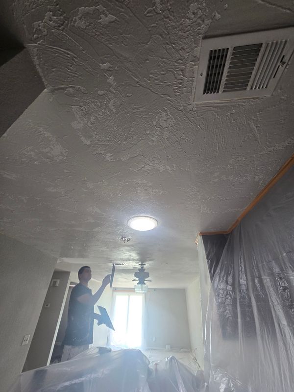 Drywall and Plastering