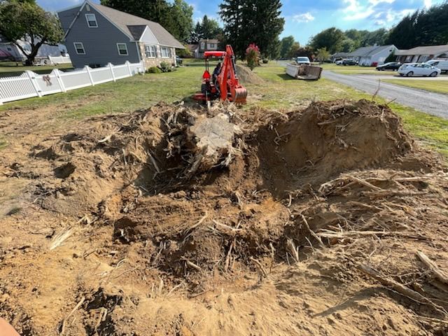 Stump Removal