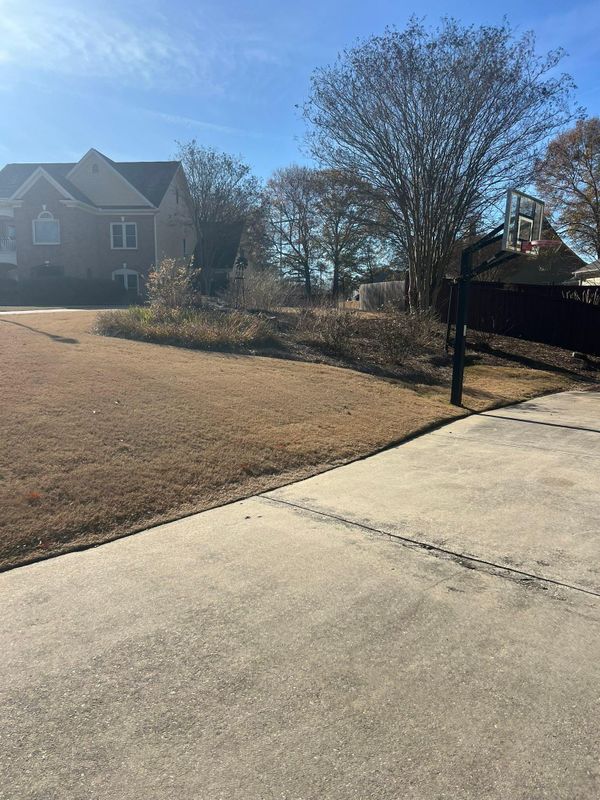 Fall and Spring Clean Ups