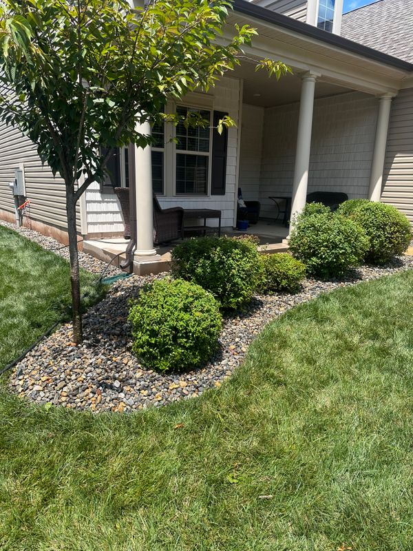 Hedge Trimming & Topiary