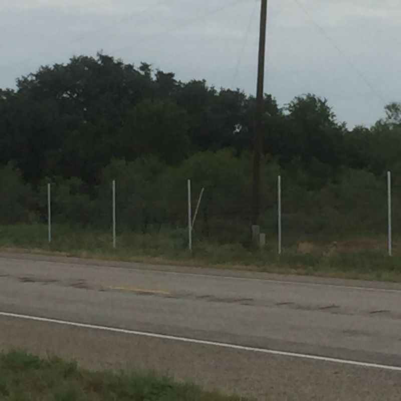 Fences