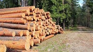 Lumber