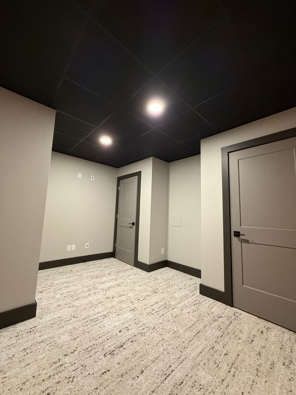 Basement Renovation