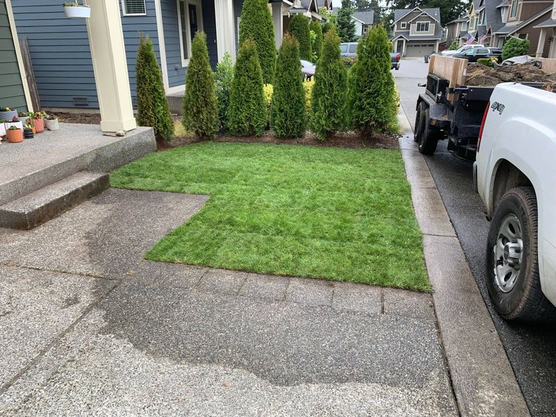 Landscaping