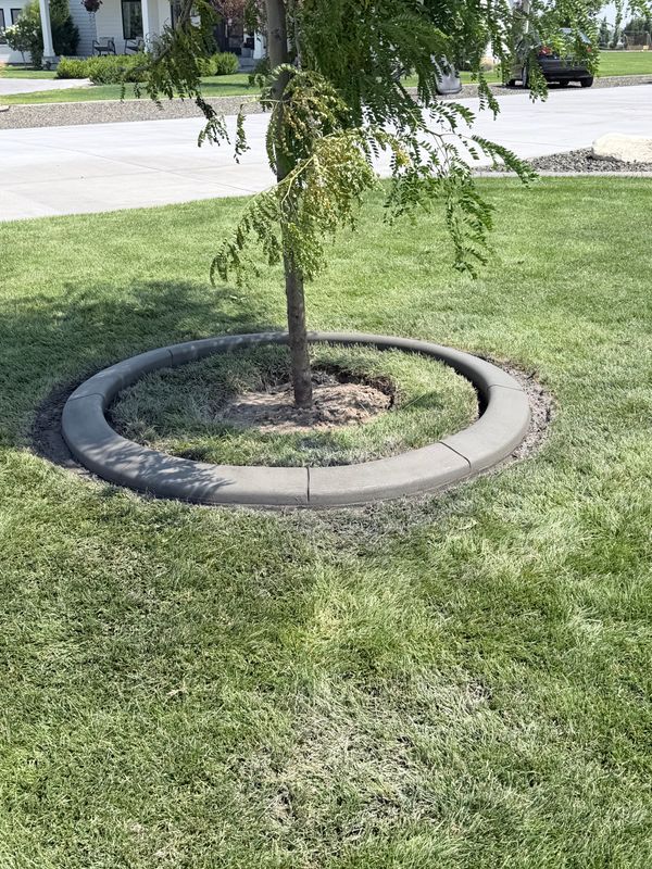 Landscape curbing projects