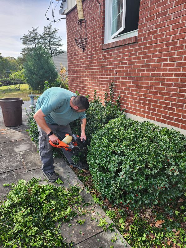 Fall Cleanups