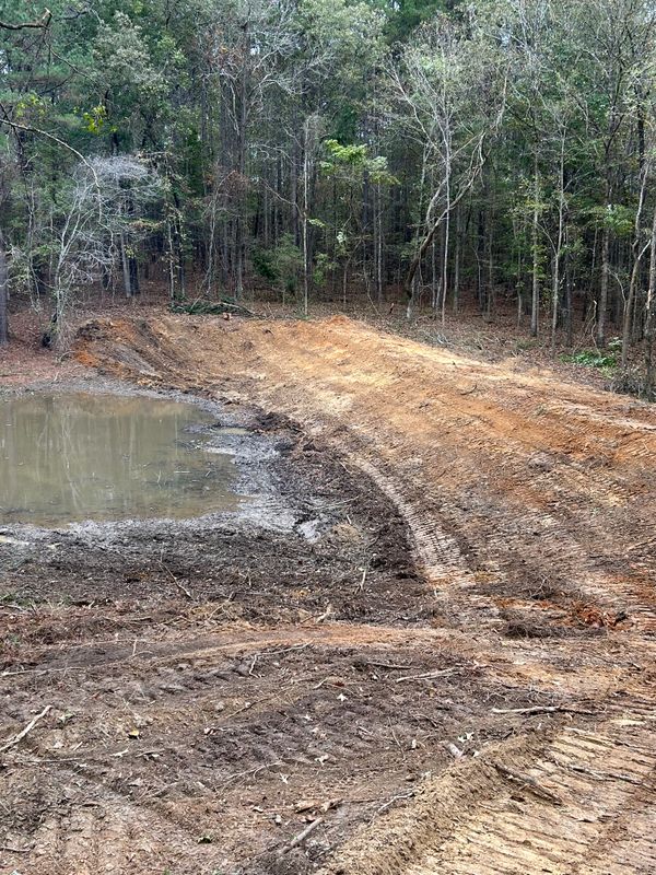 Land Clearing
