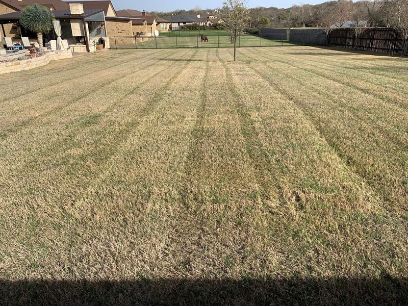 Lawn Care