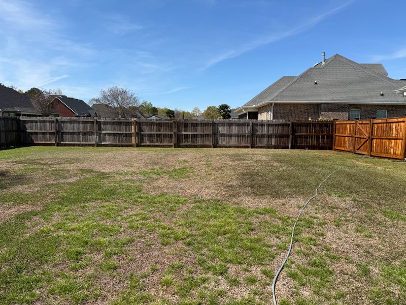 Decking & Fencing Cleaning