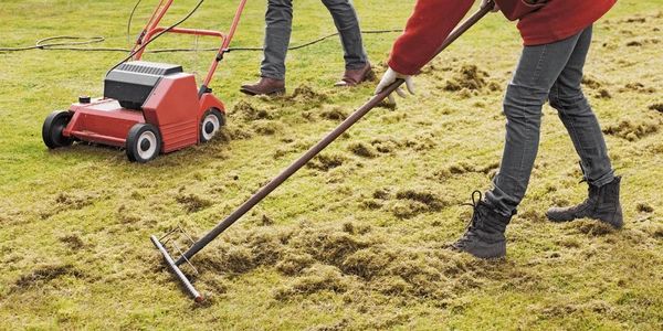 Lawn Dethatching