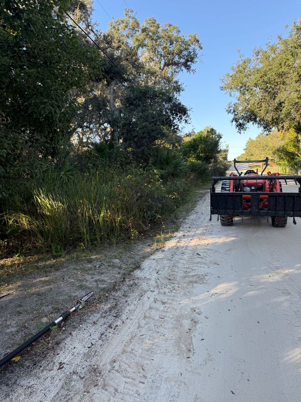 Land Clearing