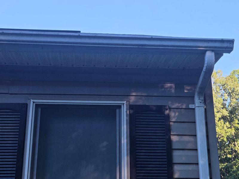 Gutter Clean/Gutter Guards