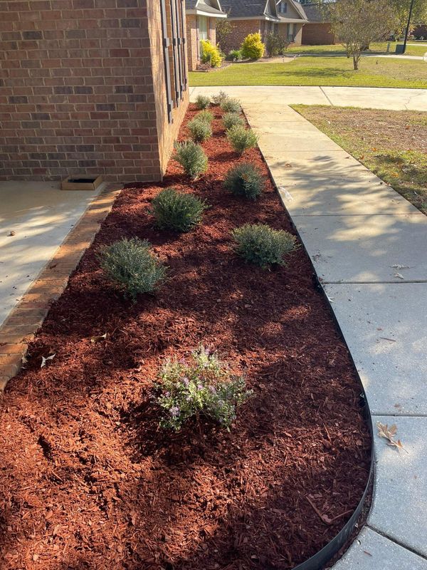 Landscape Design & Planting