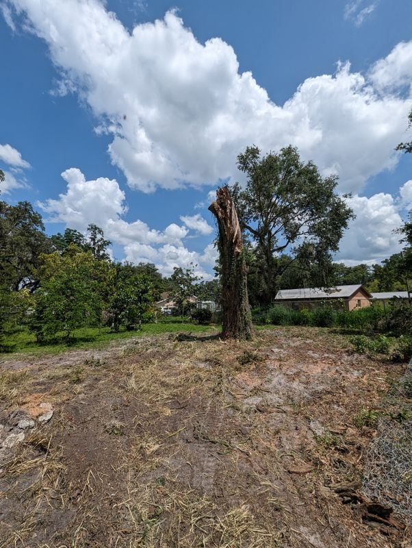 Land Clearing