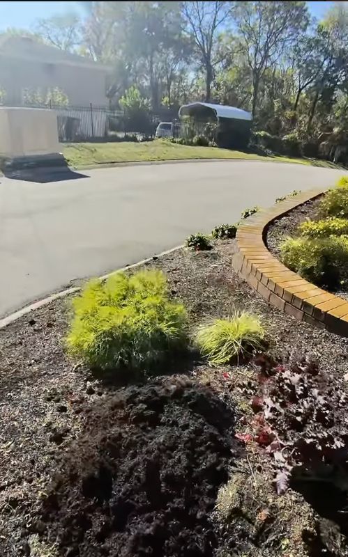 Fall and Spring Clean Up
