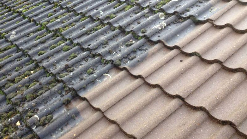 Roof Soft Washing