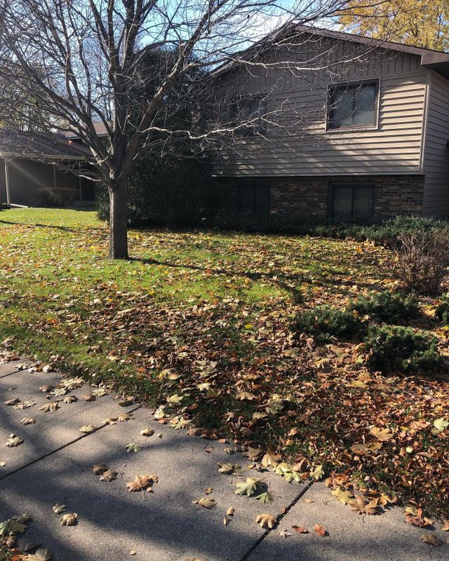 Seasonal Clean-Up