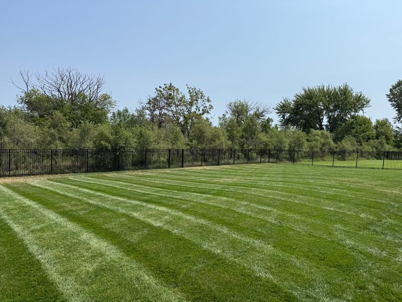 Lawn Maintenance