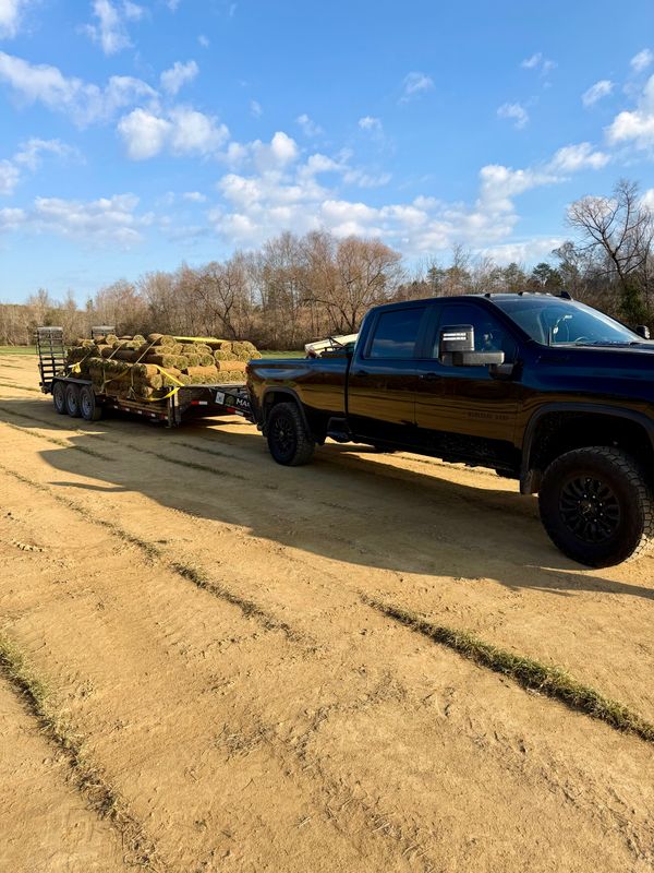 Sod Installation