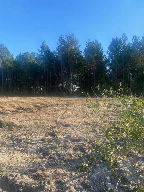 Land Clearing