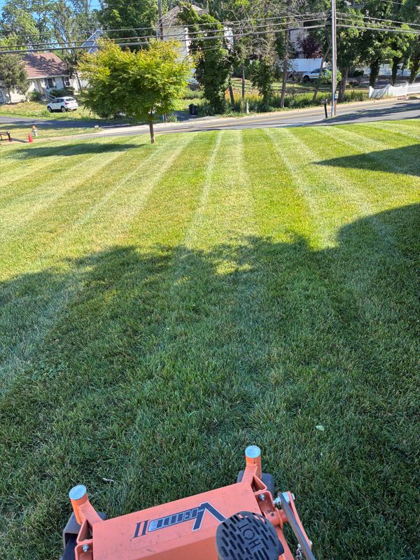 Lawn Maintenance