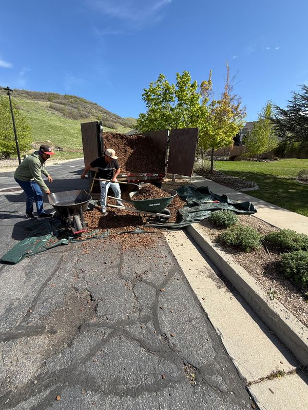 Landscaping