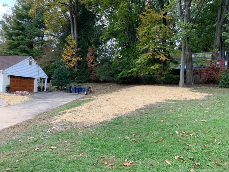 Land Clearing
