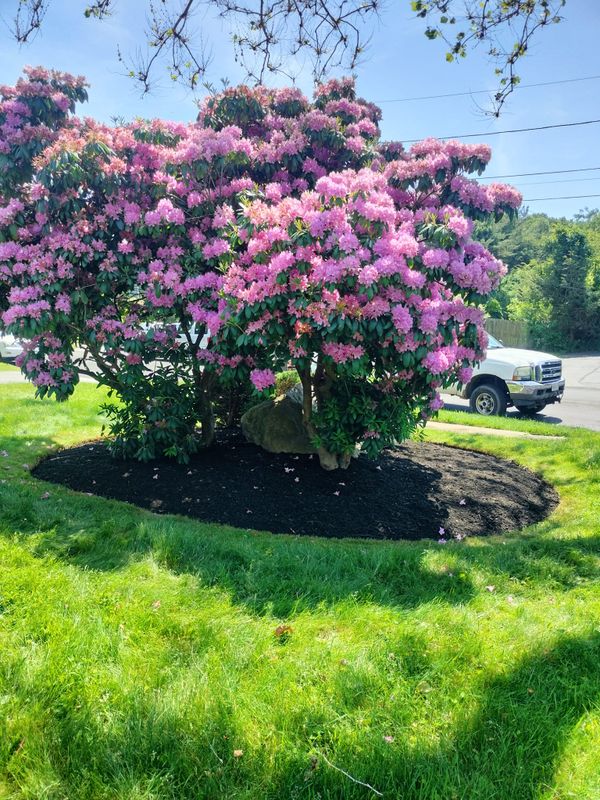 Landscaping gallery
