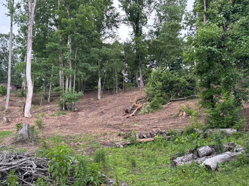 Forestry Mulching