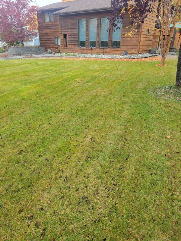 Mowing