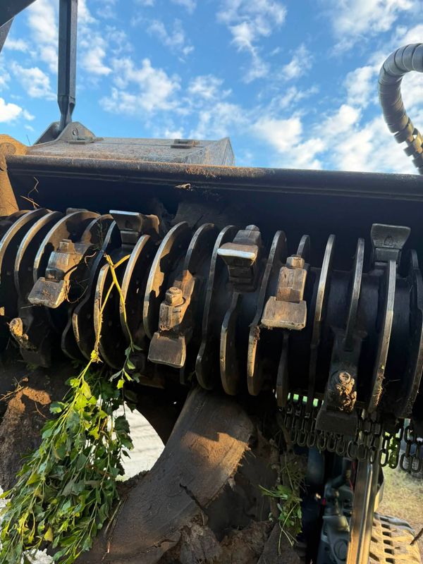 Land Clearing