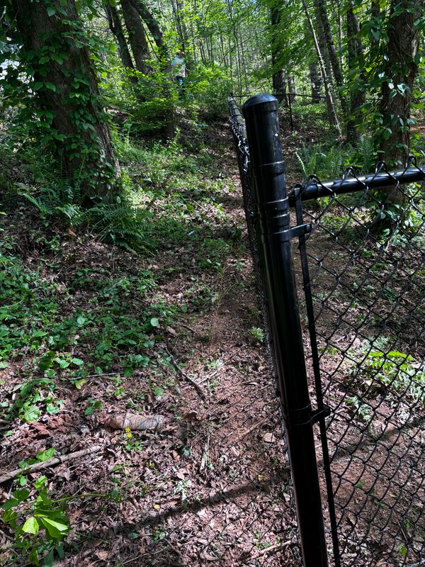 Chainlink Fences