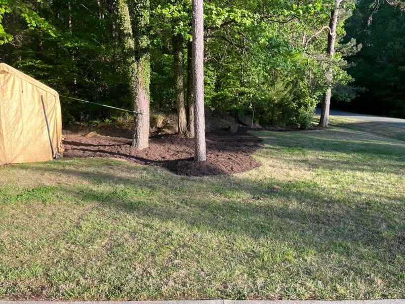 Garden Maintenance