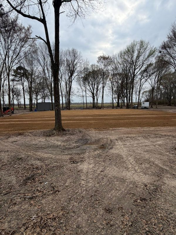 Land Clearing