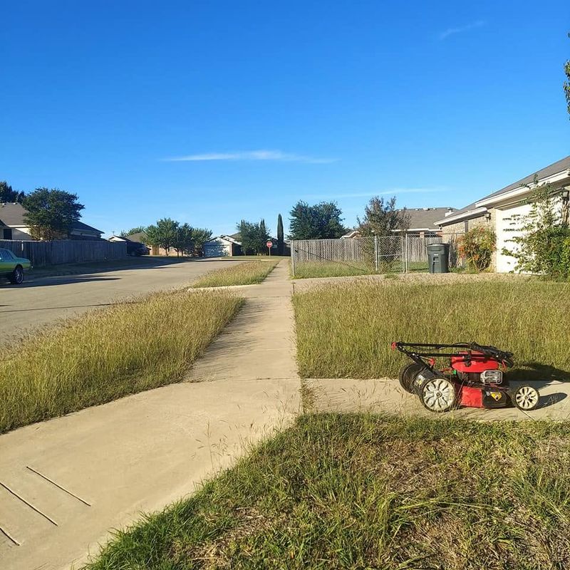 Lawn Mowing