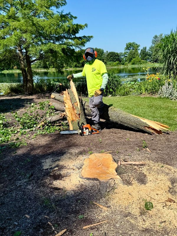 Mulch Installation