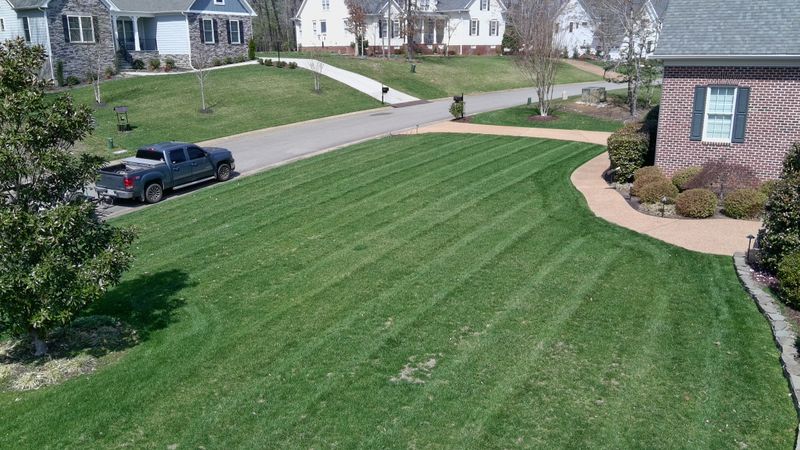 Mowing